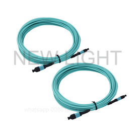Bestehen Sie OM3/OM4 gewöhnlich Kabeln aus in mehreren Betriebsarten, MTP-/MPO-Stamm-Kabel