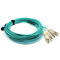 Kabel PVC-/LSZH-Material-MPO MTP, kundenspezifisches Längen-Faser-Optikverbindungskabel-Kabel