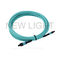 Bestehen Sie OM3/OM4 gewöhnlich Kabeln aus in mehreren Betriebsarten, MTP-/MPO-Stamm-Kabel