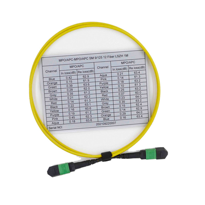 kaufen Weibliche Faser-Verbindungskabel OS2 9/125 MPO MTP Kabel-12 in mehreren Betriebsarten online manufacture