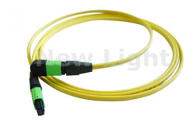 kaufen Stamm-Kabel des Monomode--12 des Kern-MPO MTP des Kabel-/MTP mit APC-Polnisches CER genehmigte online manufacture