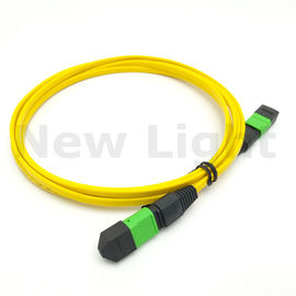 kaufen 1 m MTP - männliches/weibliches Kabel-Einmodenfaserverbindungskabel MPO MTP MTP online manufacture