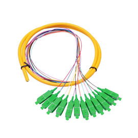 kaufen Monomode--Verteilung Faser-Optikzopf 12 Kern Sc APC für Telekommunikationsnetze online manufacture