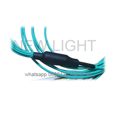 kaufen 12 Kern-OM4-MPO-MTP-Kabel für 40/100G-Netzwerke mit MPO-LC-Breakout online manufacture