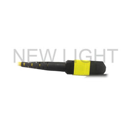kaufen MTP (weiblich) zu Monomode--Kabel-Polarität B MTP (weiblicher) für Transceivers QSFP28 online manufacture