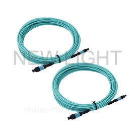 kaufen Bestehen Sie OM3/OM4 gewöhnlich Kabeln aus in mehreren Betriebsarten, MTP-/MPO-Stamm-Kabel online manufacture