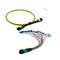 Singlemode 12 Kabel-niedriger Einfügungsdämpfungs-3.0mm Ruggedised Zopf der Faser-Optik-MPO MTP
