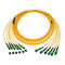 Monomode- 9/125 Faser-Stamm MTP des Faser-Optikverbindungskabel-Kabel-12/MPO PVC