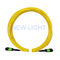 2m (6ft) MPO Einmodenfaser-optisches Kabel des Buchsen-Kern-Pullover/OS2 24